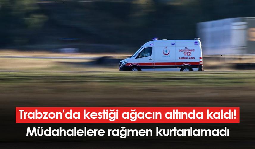 Trabzon'da kestiği ağacın altında kaldı! Müdahalelere rağmen kurtarılamadı