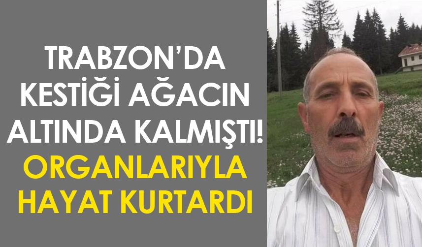 Trabzon'da kestiği ağacın altında kalmıştı! Organları hayat kurtardı