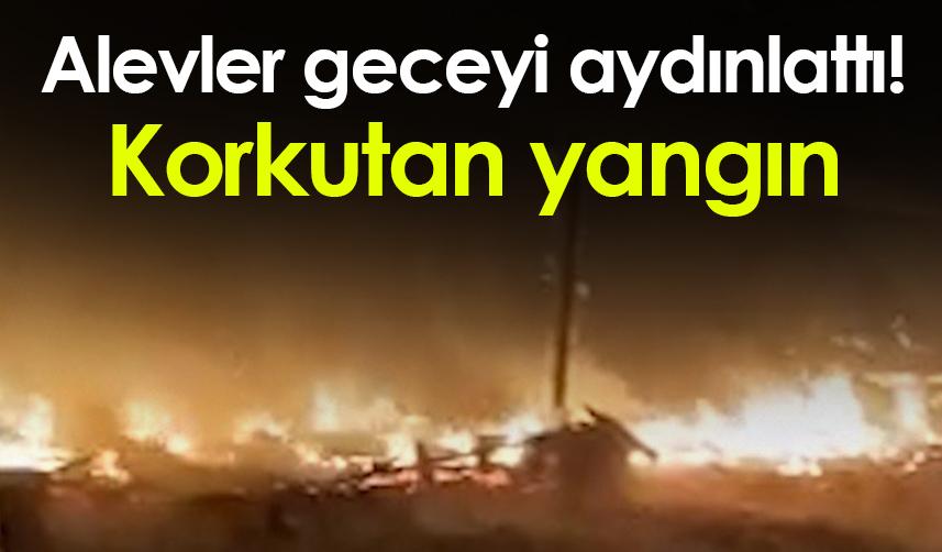 Rize'de alevler geceyi aydınlattı! Büyük yangın