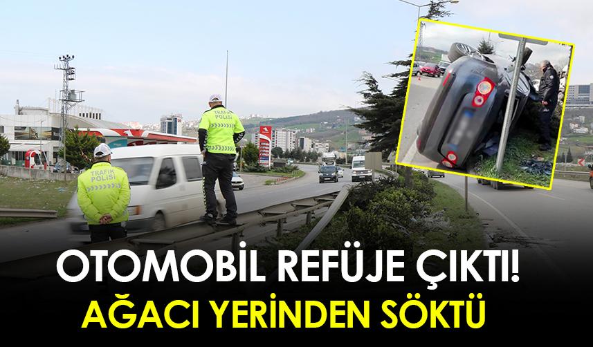 Samsun'da otomobil refüje çıktı! Ağacı yerinden söktü