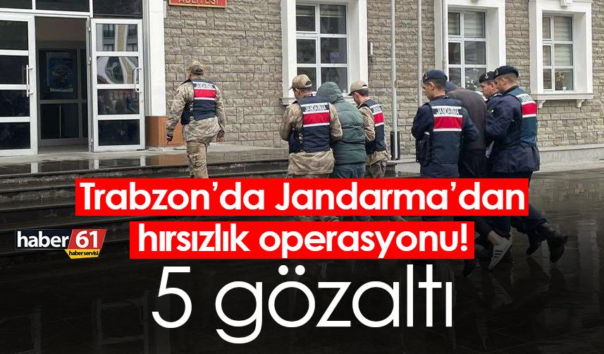 Trabzon’da Jandarma’dan hırsızlık operasyonu! 5 gözaltı