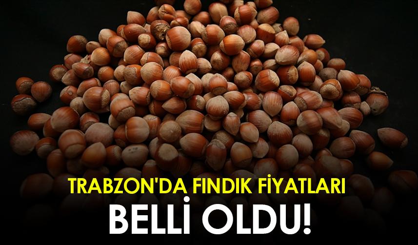 Trabzon'da fındık fiyatları belli oldu!