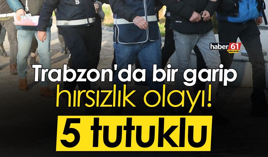 Trabzon'da bir garip hırsızlık olayı! 5 tutuklu