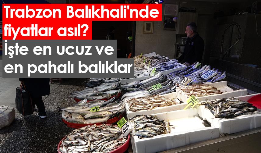 Trabzon Balıkhali'nde fiyatlar asıl? İşte en ucuz ve en pahalı balıklar