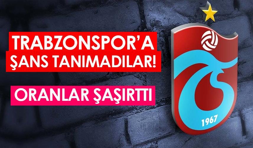 Trabzonspor'a şans tanımadılar! Şaşırtan oranlar