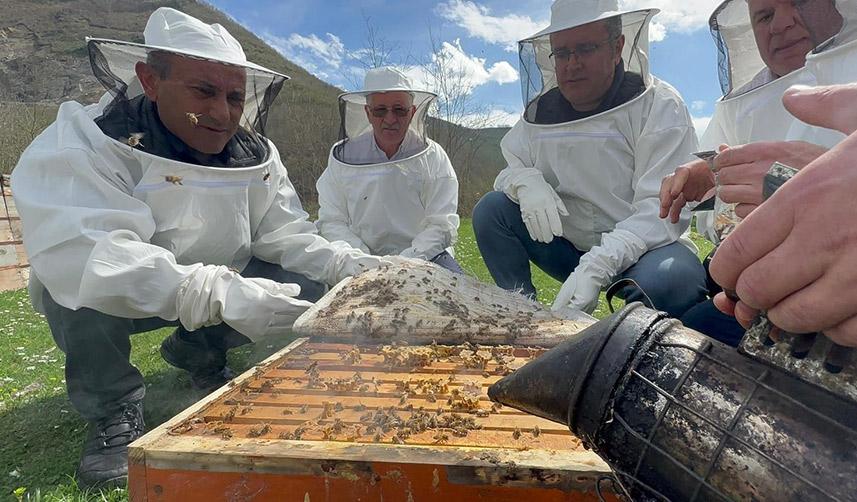 Ordu’da arıcılara ilaç desteği