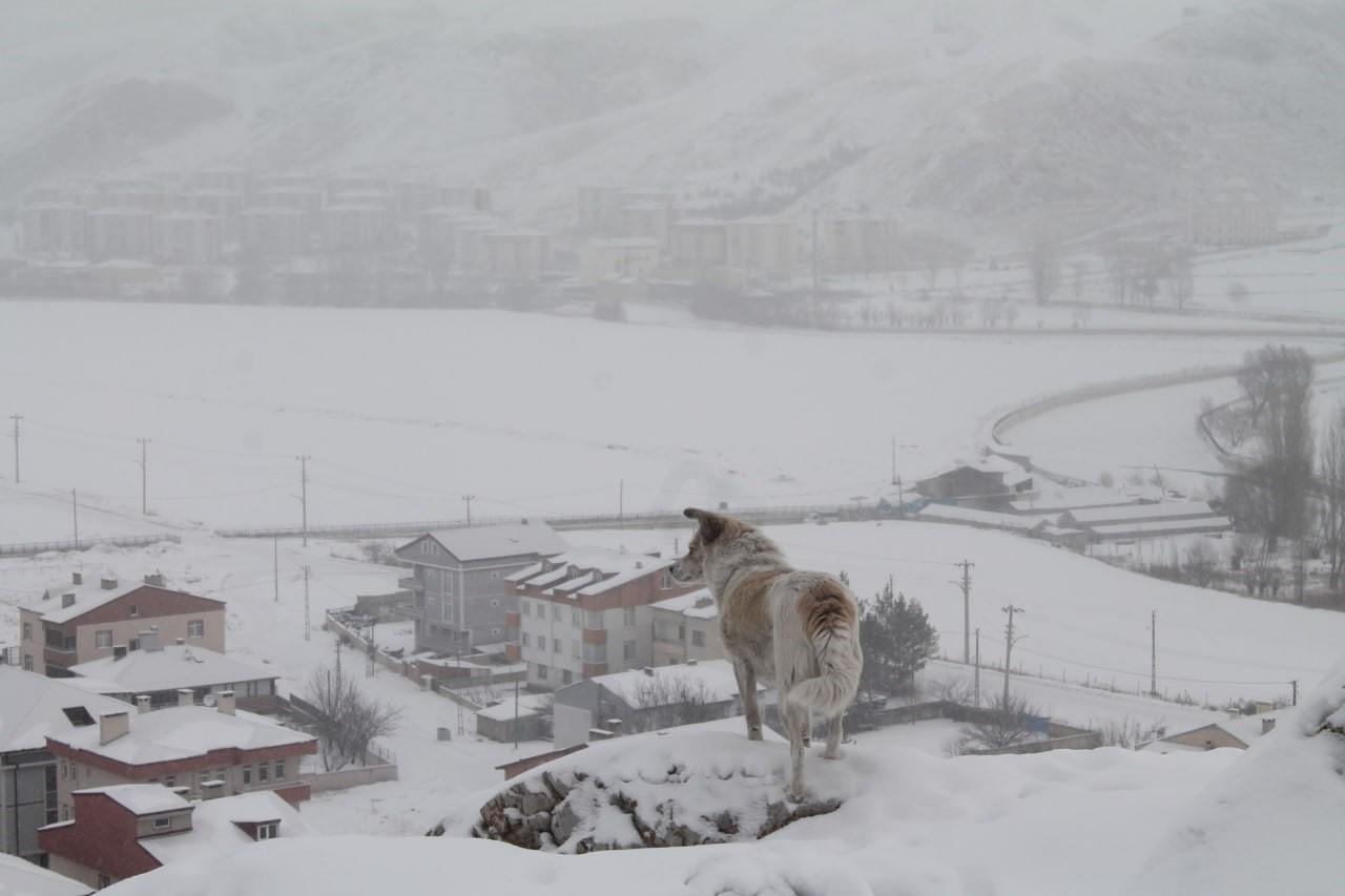 Bayburt’un yüksek kesimlerinde kar yağışı