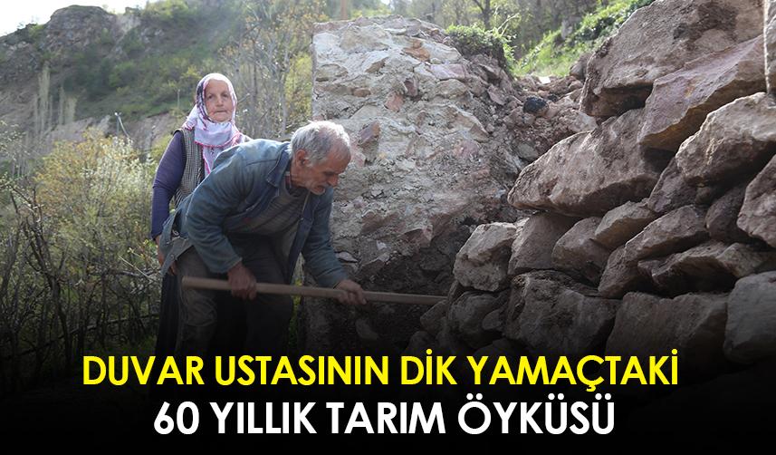 Artvinli duvar ustasının dik yamaçtaki 60 yıllık tarım öyküsü