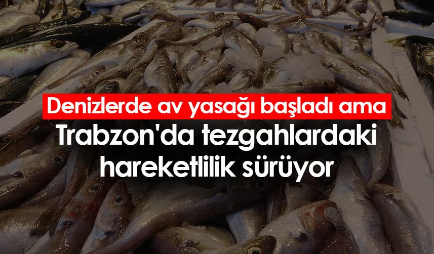 Denizlerde av yasağı başladı ama Trabzon'da tezgahlardaki hareketlilik sürüyor