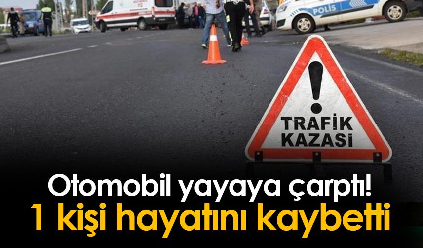 Giresun'da otomobil yayaya çarptı! 1 ölü