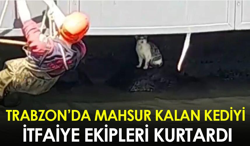 Trabzon'da mahsur kalan kediyi itfaiye ekipleri kurtardı