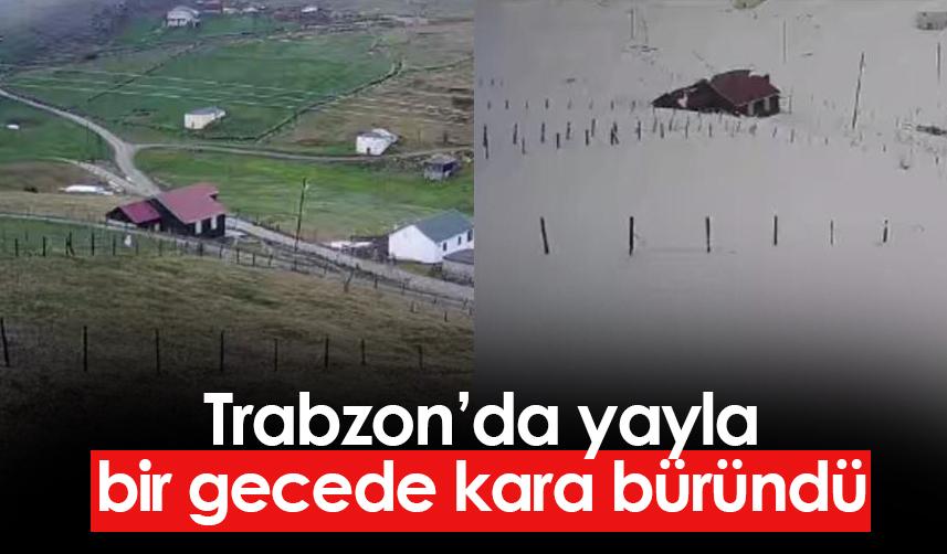 Trabzon’da yayla bir gecede kara büründü