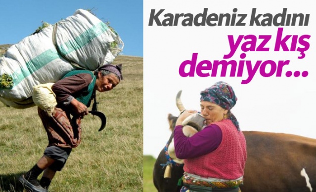 Karadeniz'de kadınlar yaz kış demeden çalışıyor