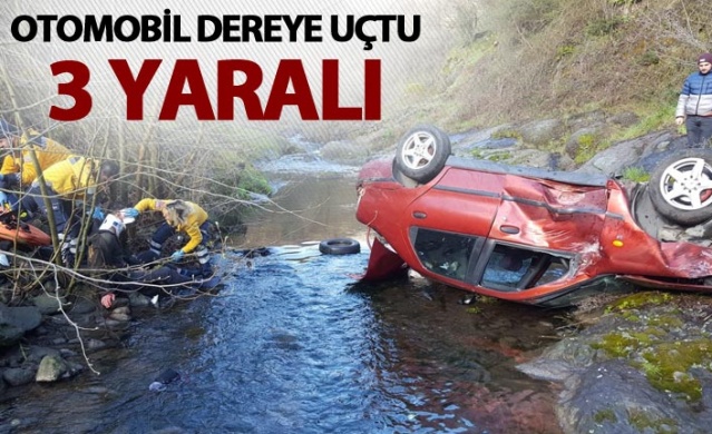 Otomobil dereye uçtu - 3 yaralı