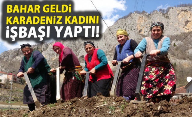 Bahar geldi Karadeniz kadını tarlaya indi