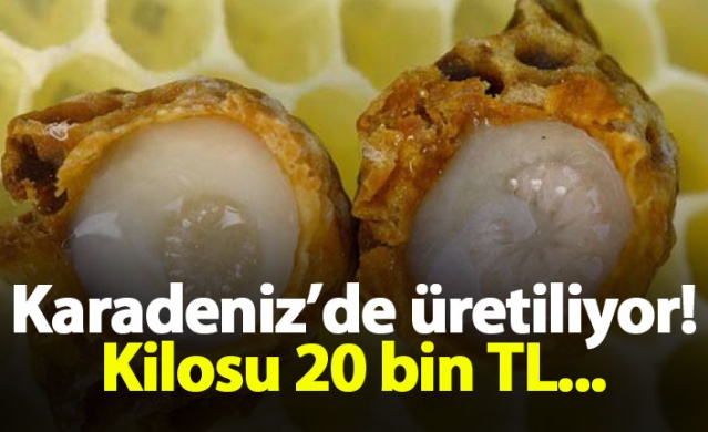 Karadeniz'de üretiliyor! Kilosu 20 bin TL