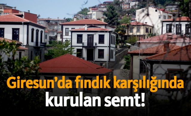 Giresun’da fındık karşılığında kurulan semt!