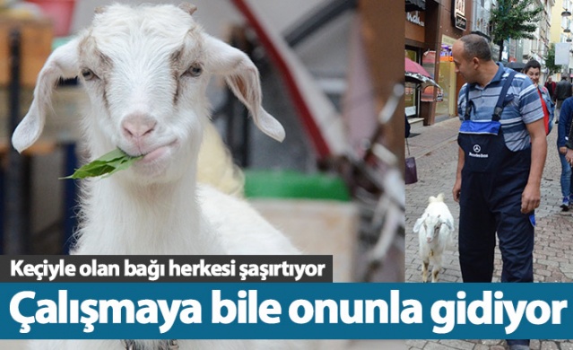 Çalışmaya bile onunla gidiyor