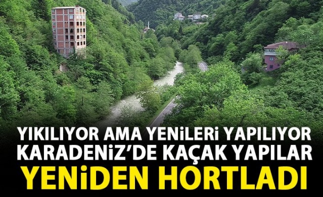 Karadeniz yaylalarında yeni kaçak yapılar yükseliyor!