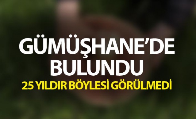 Gümüşhane'de bulundu - 25 yıldır böylesi görülmedi