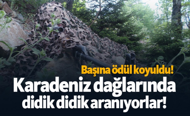 Karadeniz dağlarında didik didik aranıyorlar!