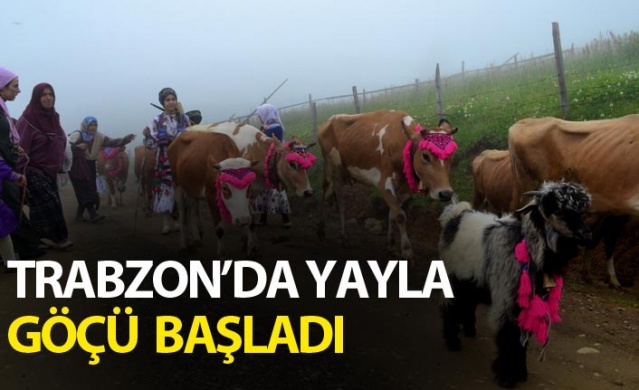 Trabzon'da yayla göçü başladı