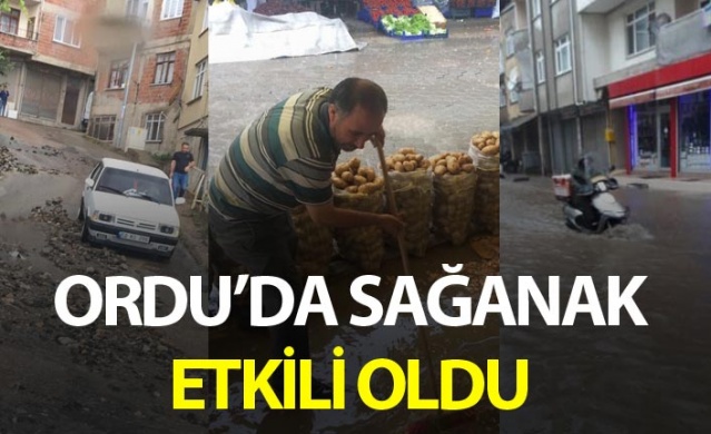 Ordu'da sağanak etkili oldu