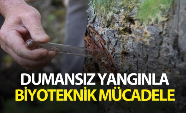 Dumansız yangınla biyoteknik mücadele