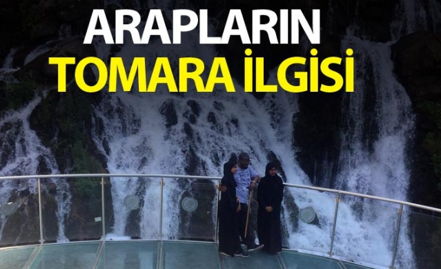 Arapların Tomara Şelalesi ilgisi