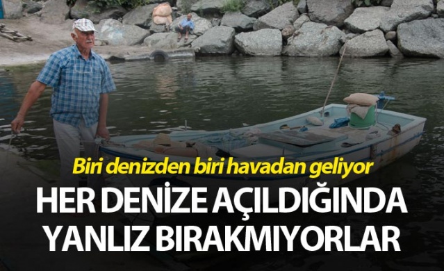 Rizeli balıkçının hayvanlarla dostluğu dikkat çekiyor