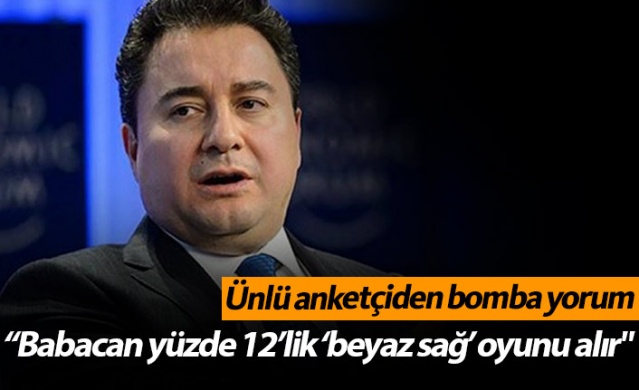 Ünlü anketçiden Babacan yorumu