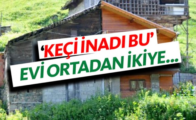 'Keçi inadı bu' evi ortadan ikiye bölüp