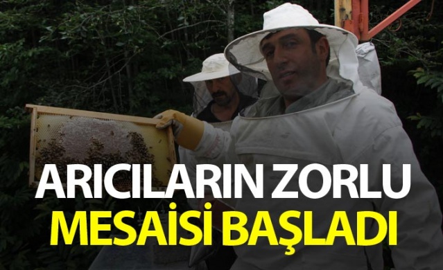 Rize'de arıcıların zorlu mesaisi başladı