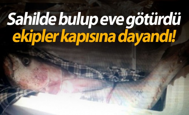 Sahilde bulup eve götürdü ekipler kapıya dayandı