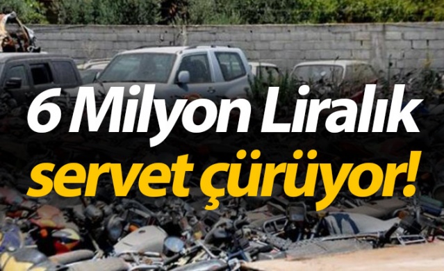 6 Milyonluk servet çürüyor!