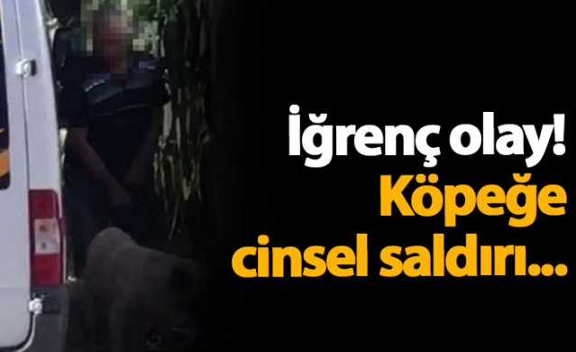 İğrenç olay! Köpeğe cinsel saldırı...