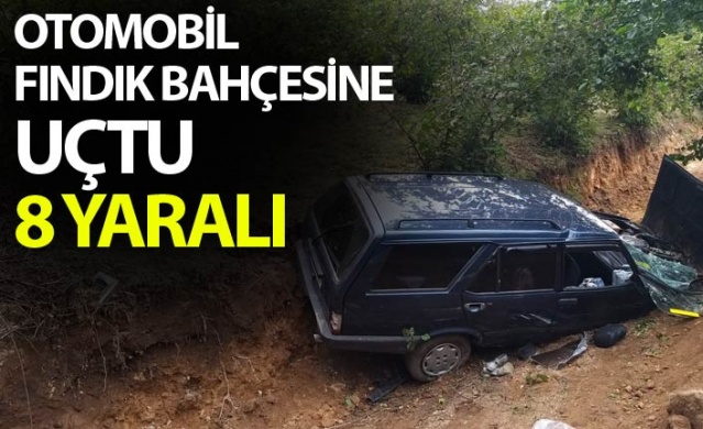 Otomobil fındık bahçesine uçtu: 8 yaralı