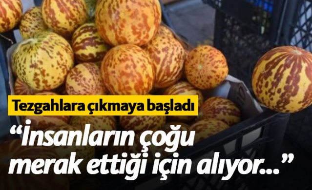 Kokulu kavun ilgi çekiyor