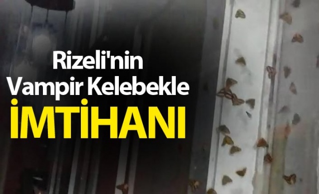 Rizeli'nin 'Vampir Kelebek' ile imtihanı bitmiyor