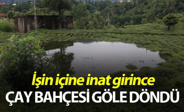 Rize'de iki kişinin inadı çay bahçesini göle döndürdü