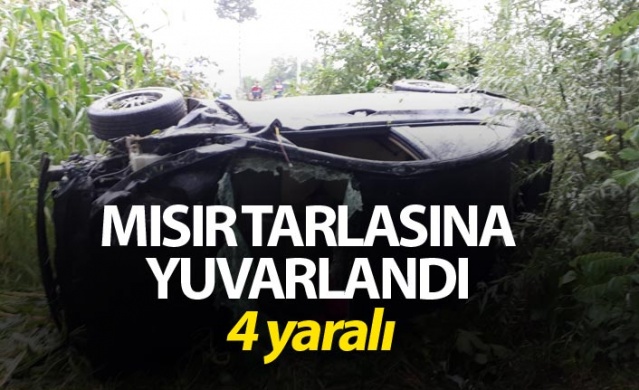 Samsun'da otomobil mısır tarlasına yuvarlandı: 4 yaralı