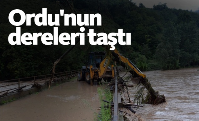 Ordu'nun dereleri taştı