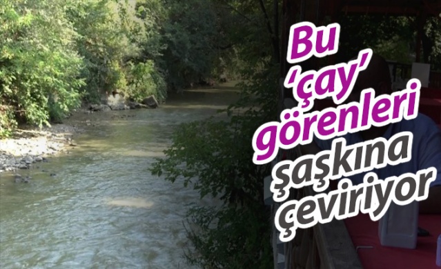 Bu ‘çay’ görenleri şaşkına çeviriyor