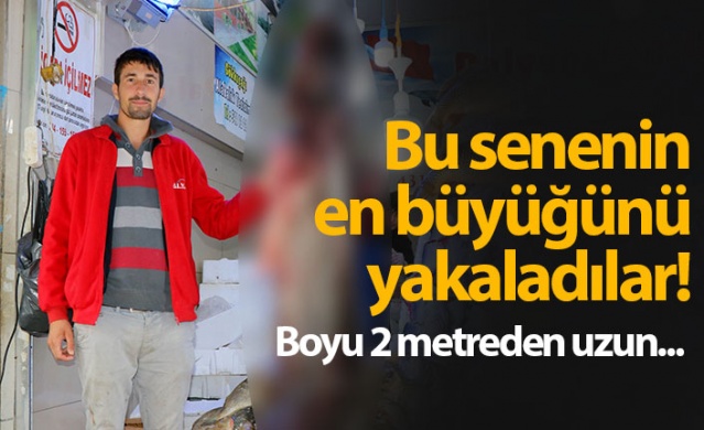 Bu senenin en büyüğünü yakaladılar