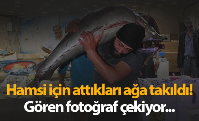 Hamsi için attıkları ağa takıldı! Tam 90 kilo...