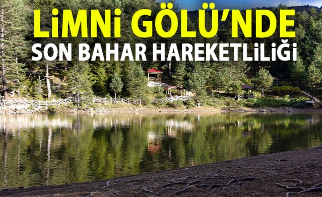 Limni Gölü'nde sonbahar hareketliliği