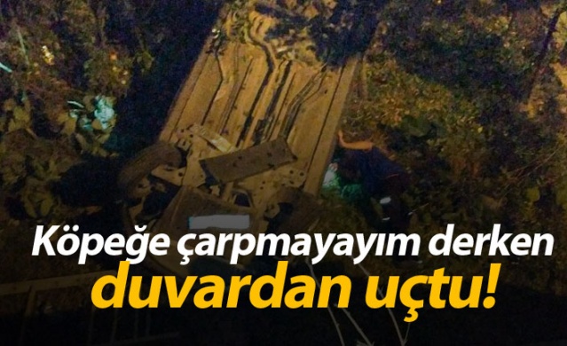 Köpeğe çarpmayayım derken duvardan uçtu