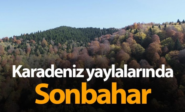 Karadeniz yaylalarında sonbahar