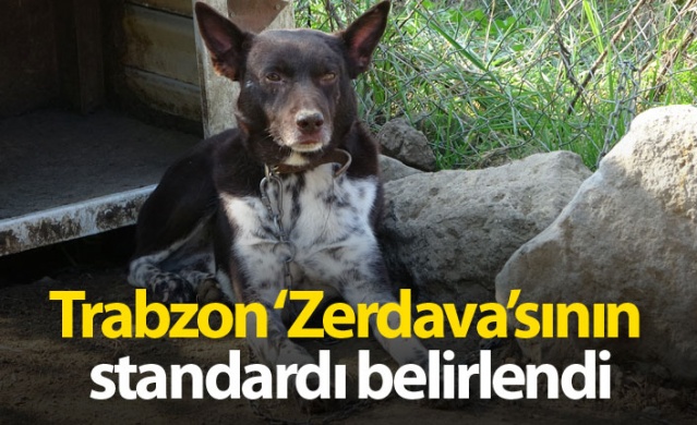 Trabzon ‘Zerdava’sının standardı belirlendi