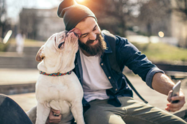 Erkeklerin sakallarında köpeklerden daha fazla mikrop var